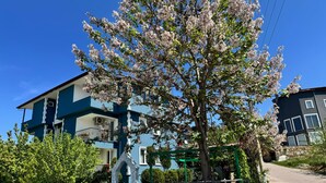 A two-story building with a balcony, a tree with pink blossoms, and a scooter parked in front. - Paradise House  (Denizli)