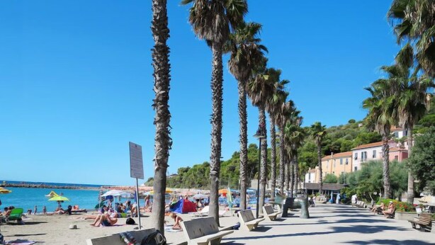 Une plage bordée de palmiers, avec des bancs et un ciel bleu azur.