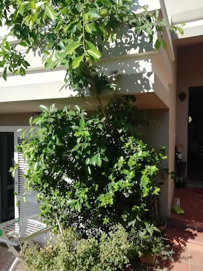 Garden - B&B Filomena  (Santa Giusta)