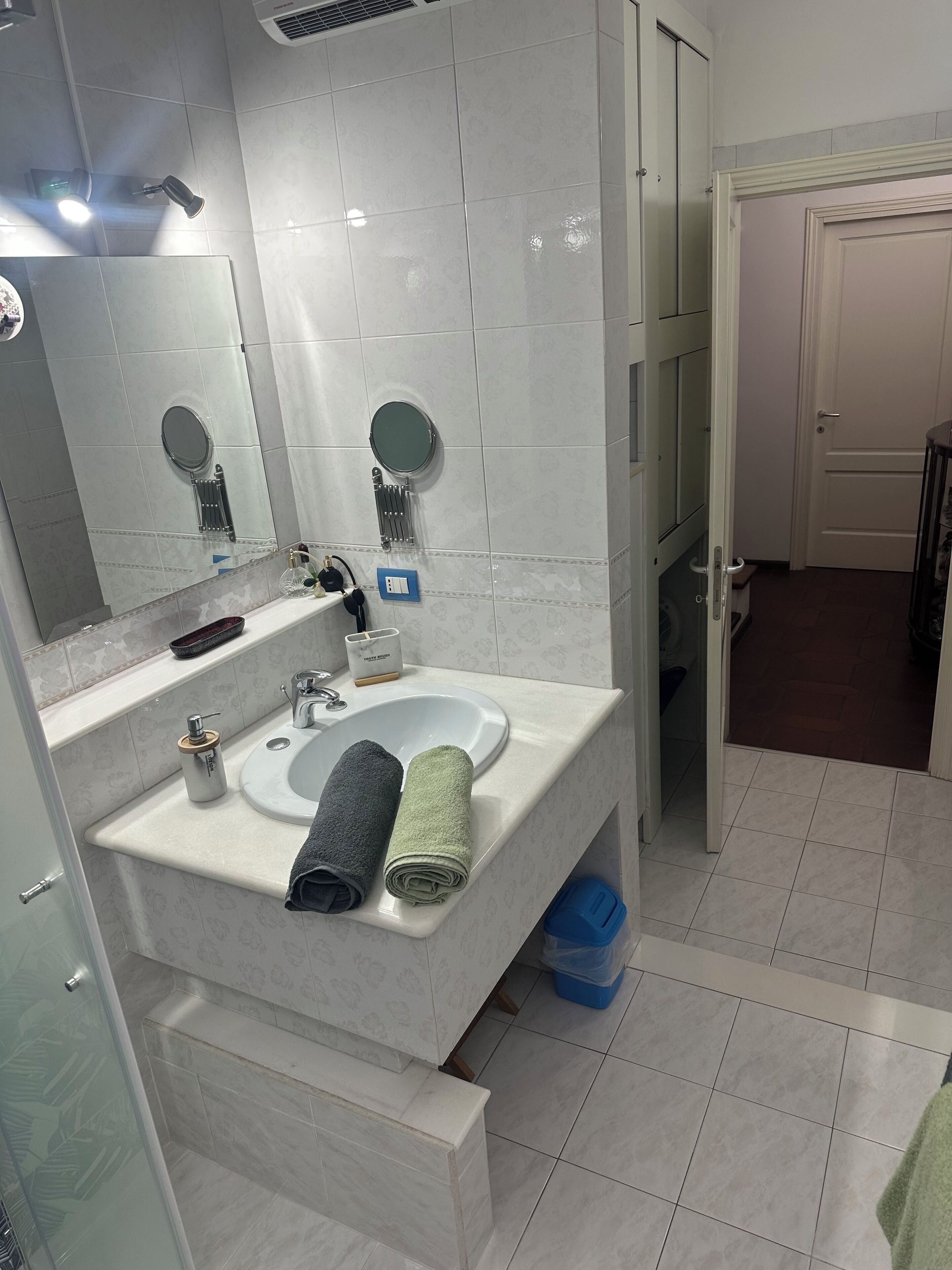 A modern bathroom with a white sink, two mirrors, a handheld showerhead, and a glass-enclosed shower.