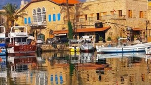 A waterfront scene with buildings, boats, and a palm tree. - Dar Alice (Tyre)