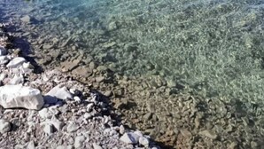 Un río cristalino con una persona nadando, rodeado de terreno rocoso y vegetación.