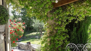 Terras