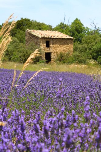 Drôme Provençale house with private pool in charming typical village