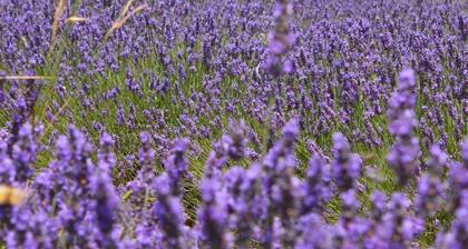 Maison DrÎme Provençale avec piscine privative dans charmant village typique