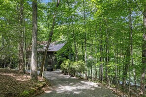 Exterior - Cherry Lake Hideaway- pet friendly, lake- front, canoe, hot tub, firepit WiFi (Blue Ridge)