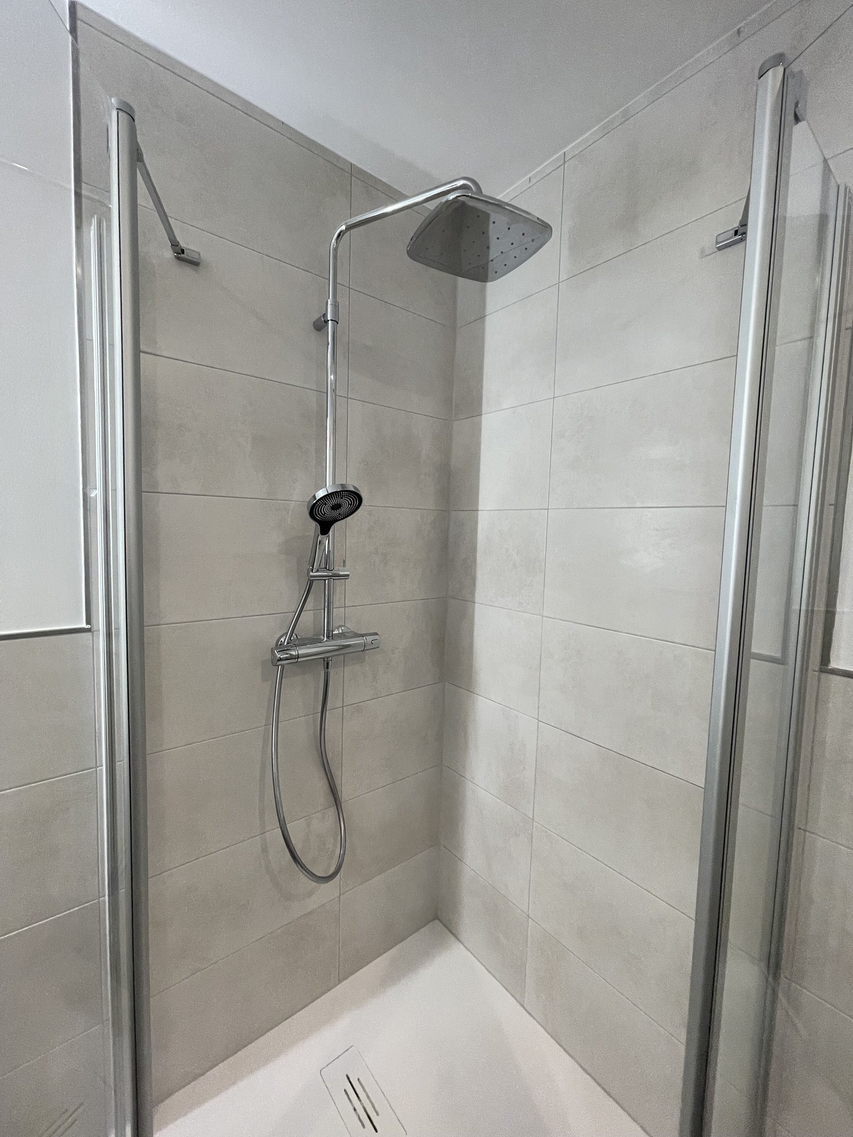 Een moderne douche met een handdouche en een vaste douchekop, omgeven door glazen deuren.