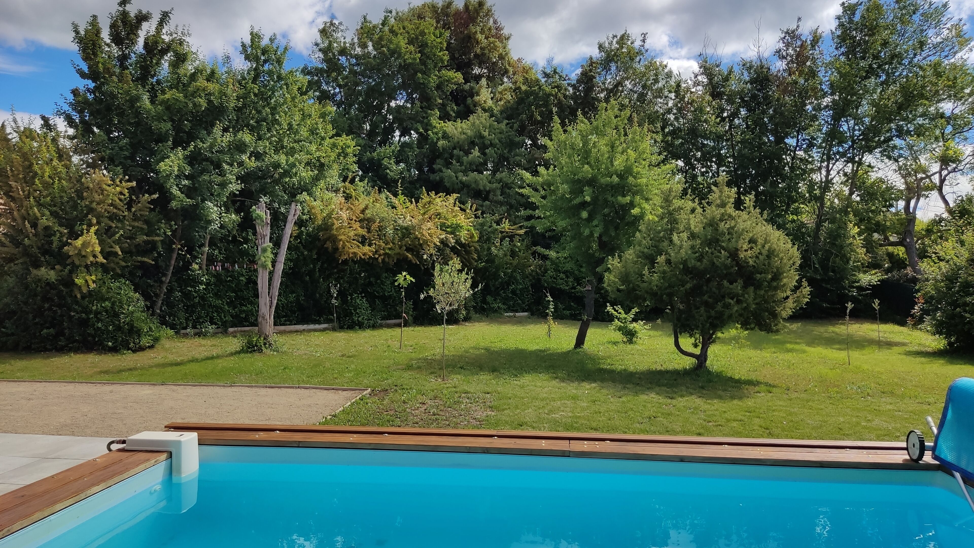 Una piscina amb un pont de fusta, envoltada d'un jardí amb gespa i arbres.