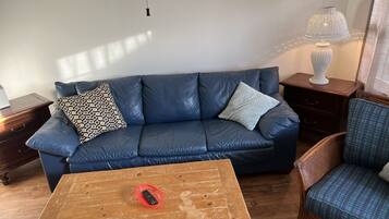 Cottage, 1 kamar tidur | Area keluarga | Smart TV