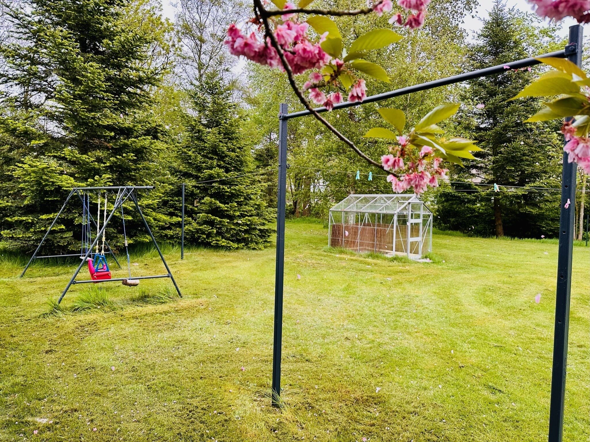 A grassy yard with a swing set, a greenhouse, and trees in the background.