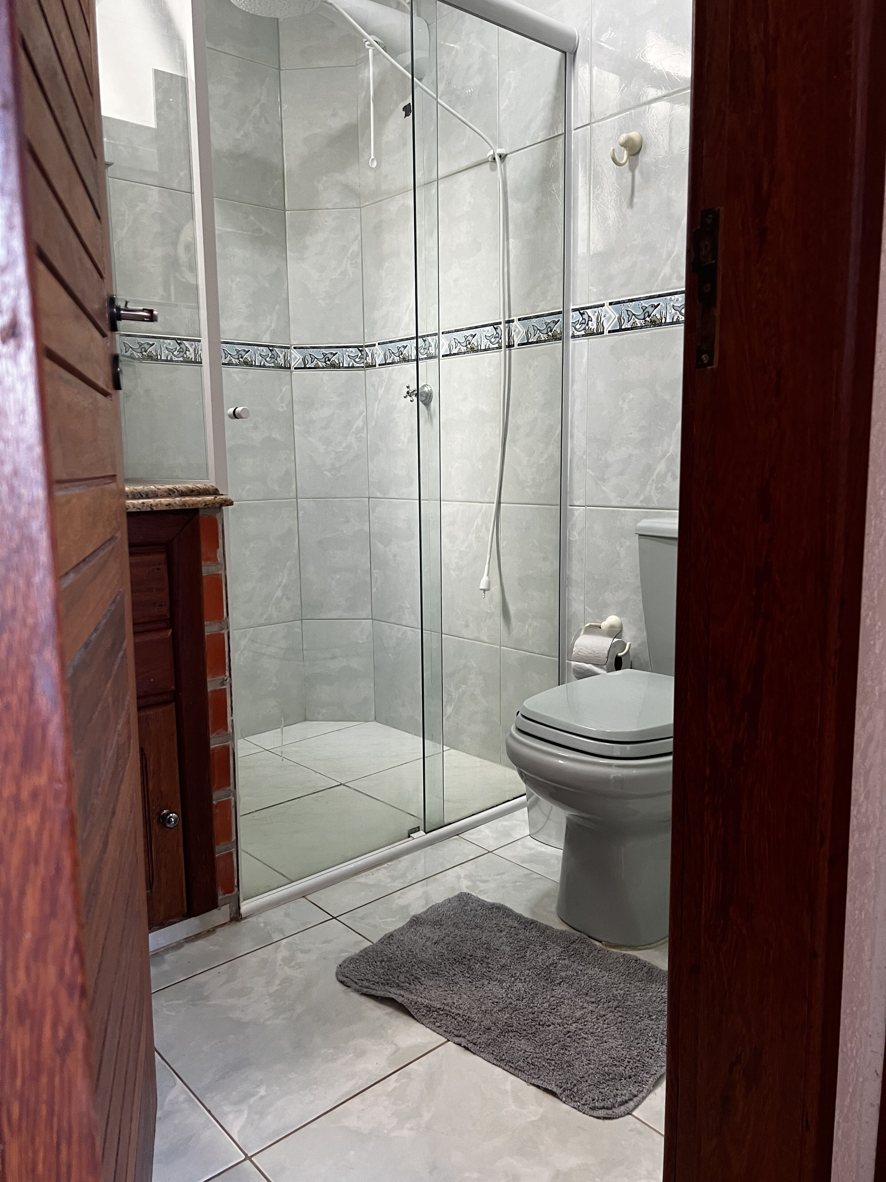 A bathroom with a glass-enclosed shower, a toilet, and a small rug on the floor.
