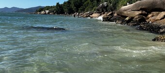 레지덴셜 가이보타