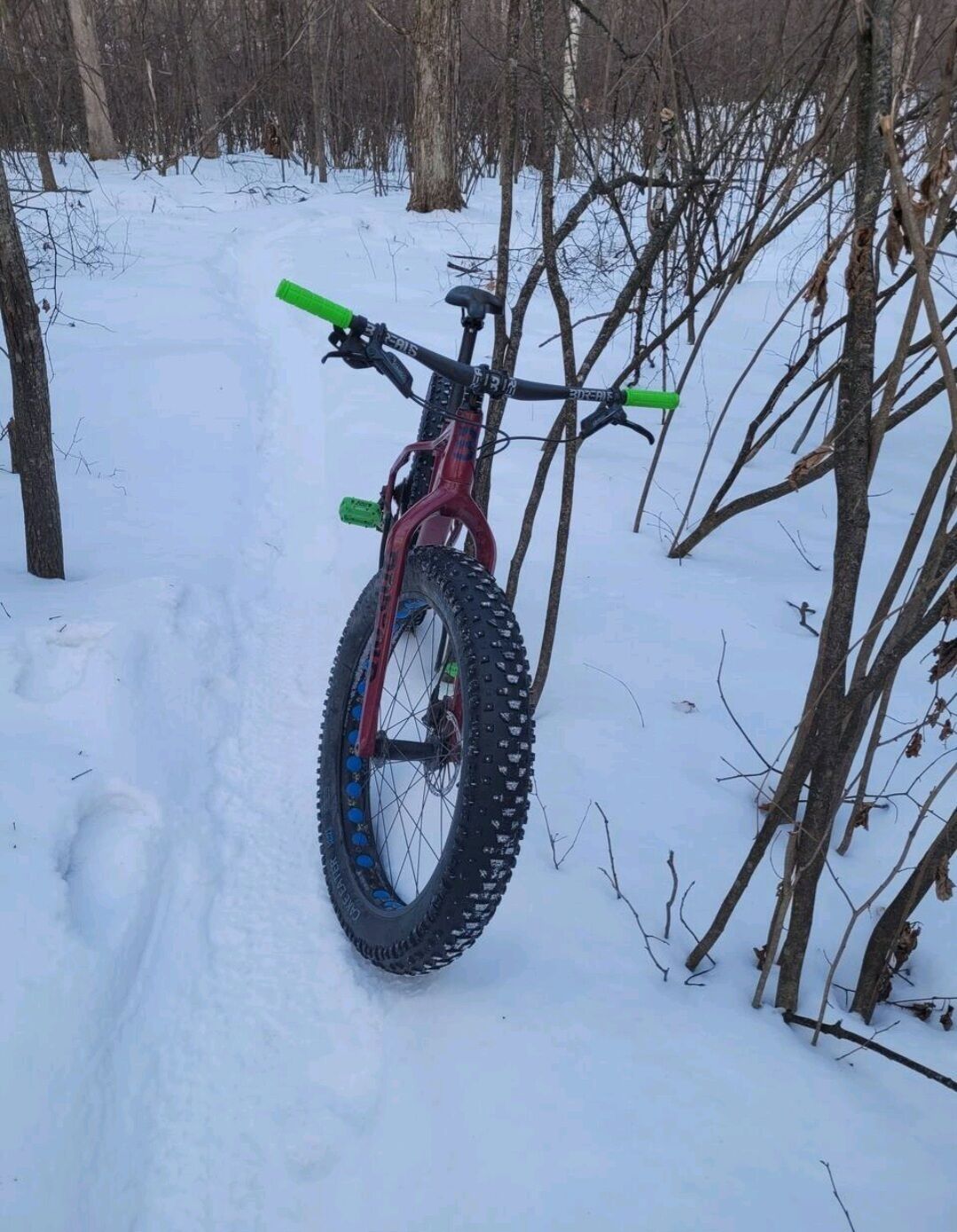 A mountain bike parked in a snowy forest.