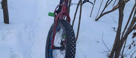 A mountain bike parked in a snowy forest.