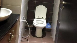 Een kleine badkamer met een toilet, een wastafel en een douchetoilet.