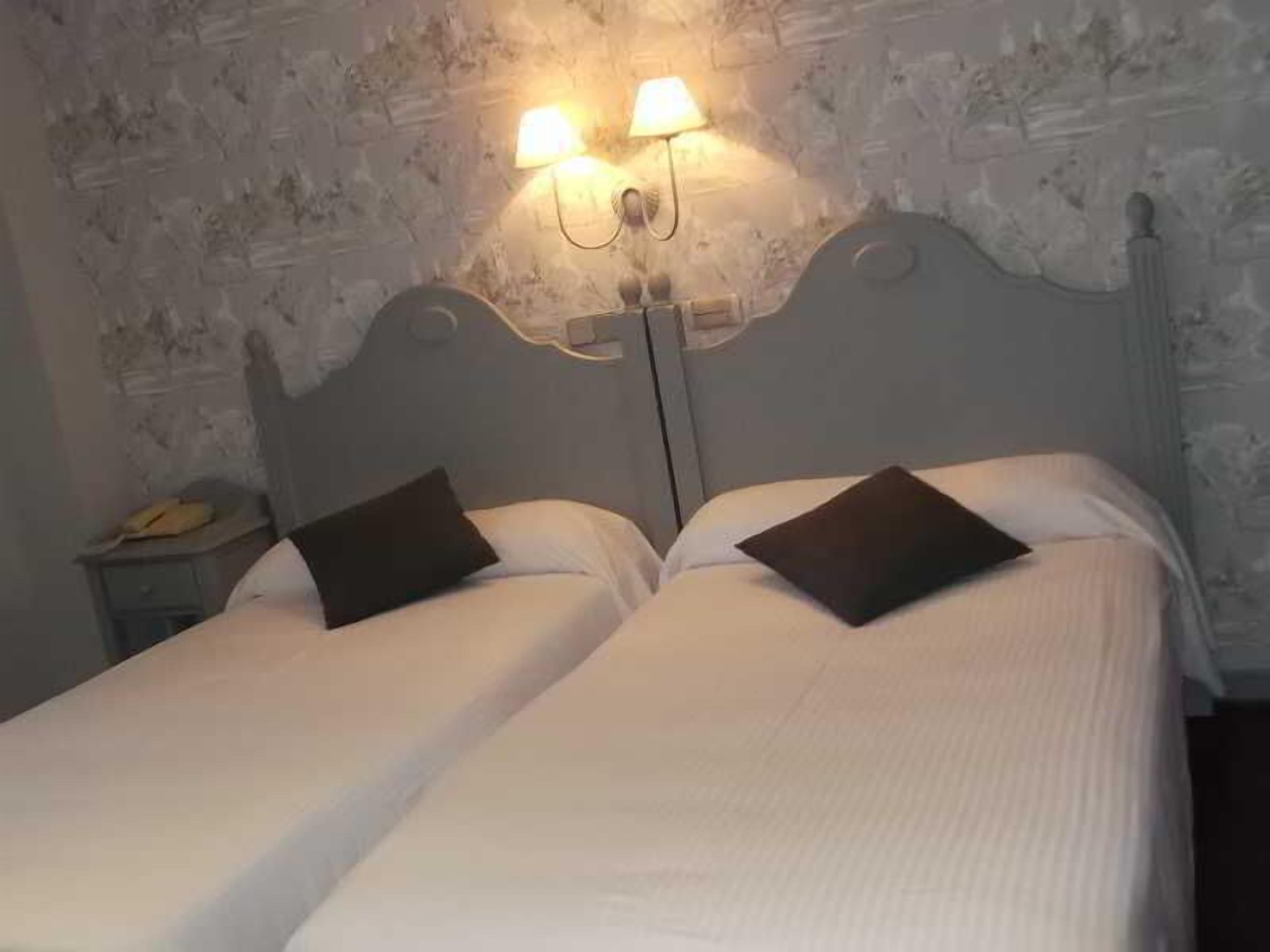 Una cama doble con dos almohadas, una mesita de noche con lámpara y una pared con textura.