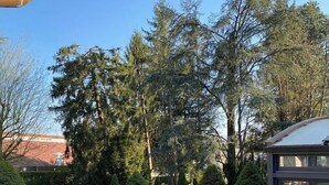 A modern building with a glass facade, surrounded by well-maintained greenery and a paved driveway. - Design villa with swimming pool and tennis court in a hectare of fully enclosed grounds (Le Pont-de-Beauvoisin)
