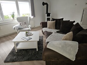 Smart TV, chimenea y libros