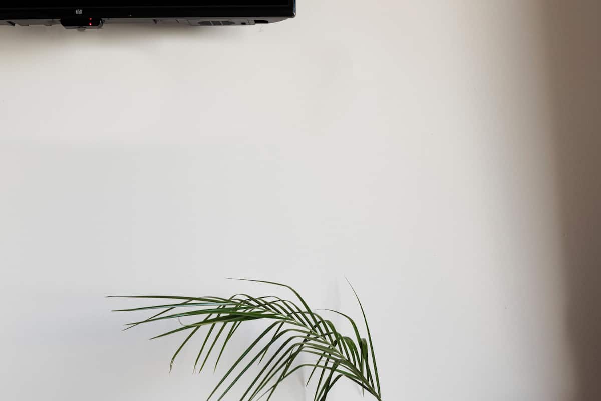 A shelf with a plant, a vase, and books.