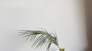 Habitación clásica doble, vistas al jardín | Caja fuerte, cortinas opacas, tabla de planchar con plancha