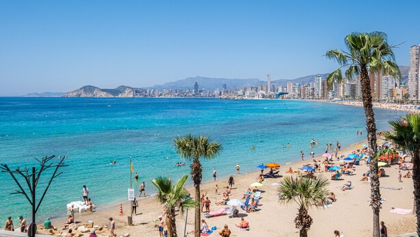A beach with palm trees, people, and a city skyline in the background.