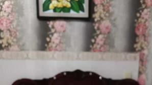 واي فاي مجانًا