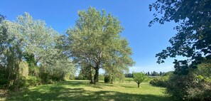 A natural landscape with trees and grass. - 18th-century Provençal country house (Sarrians)