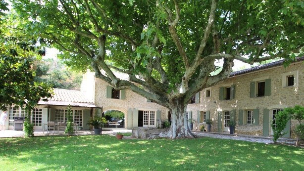 A stone building with a large tree in the center, surrounded by a well-maintained lawn and potted plants. - 18th century Provencal country house (Sarrians)