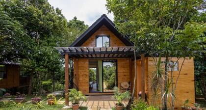 Mountain Island Lake - Family Getaway for 12 to 15 guests at Kalahi Lakeshore