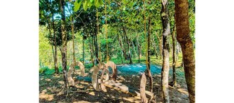 Mountain Island Lake - Family Getaway for 12 to 15 guests at Kalahi Lakeshore