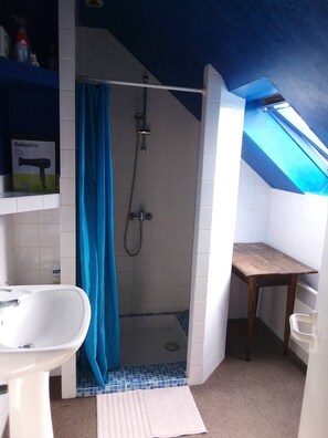 Shower, hair dryer
