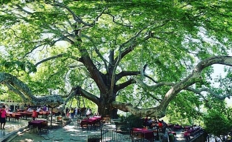 Exterior. Güner City Hotel