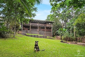 Property grounds - Bindi Treehouse - Secluded Rainforest Pet Friendly Retreat in a Stunning Treehouse (Brinsmead)