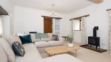 TV connectée, cheminée, livres