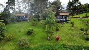 A lush, green landscape with two wooden cabins surrounded by dense vegetation and a variety of plants.