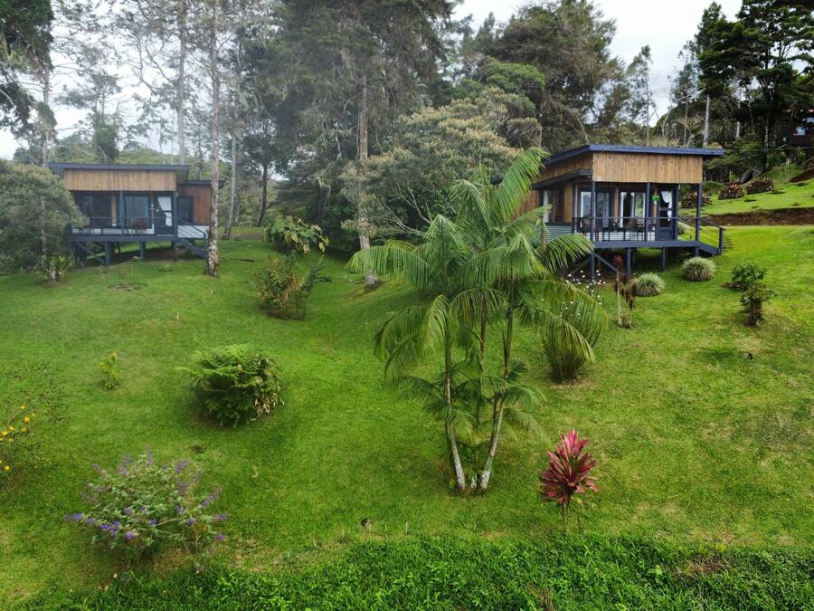 A lush, green landscape with two wooden cabins surrounded by dense vegetation and a variety of plants.