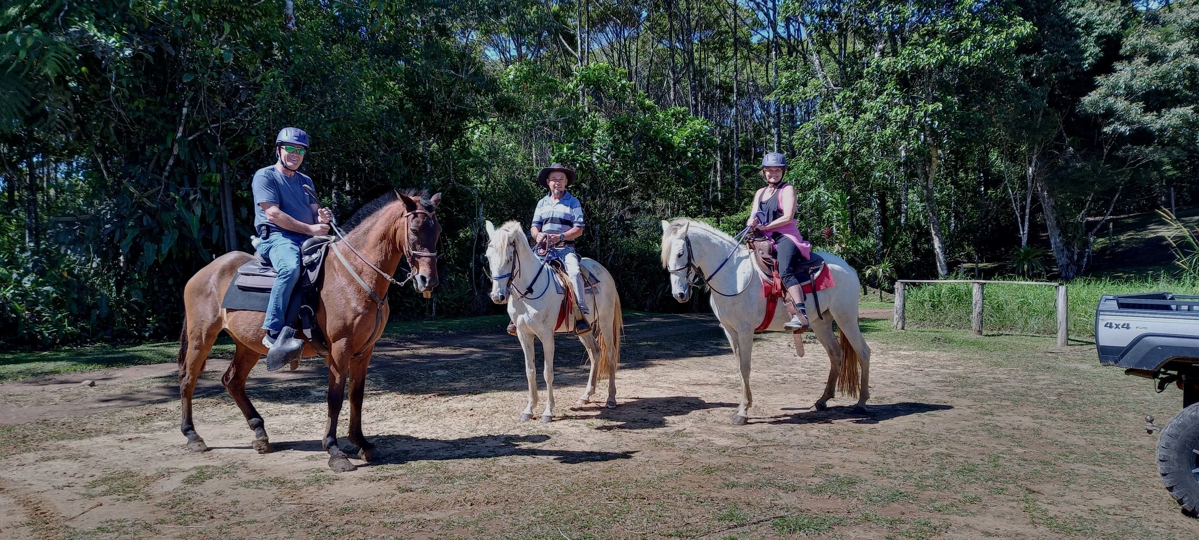 Paseos a caballo
