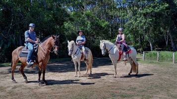 Paseos a caballo