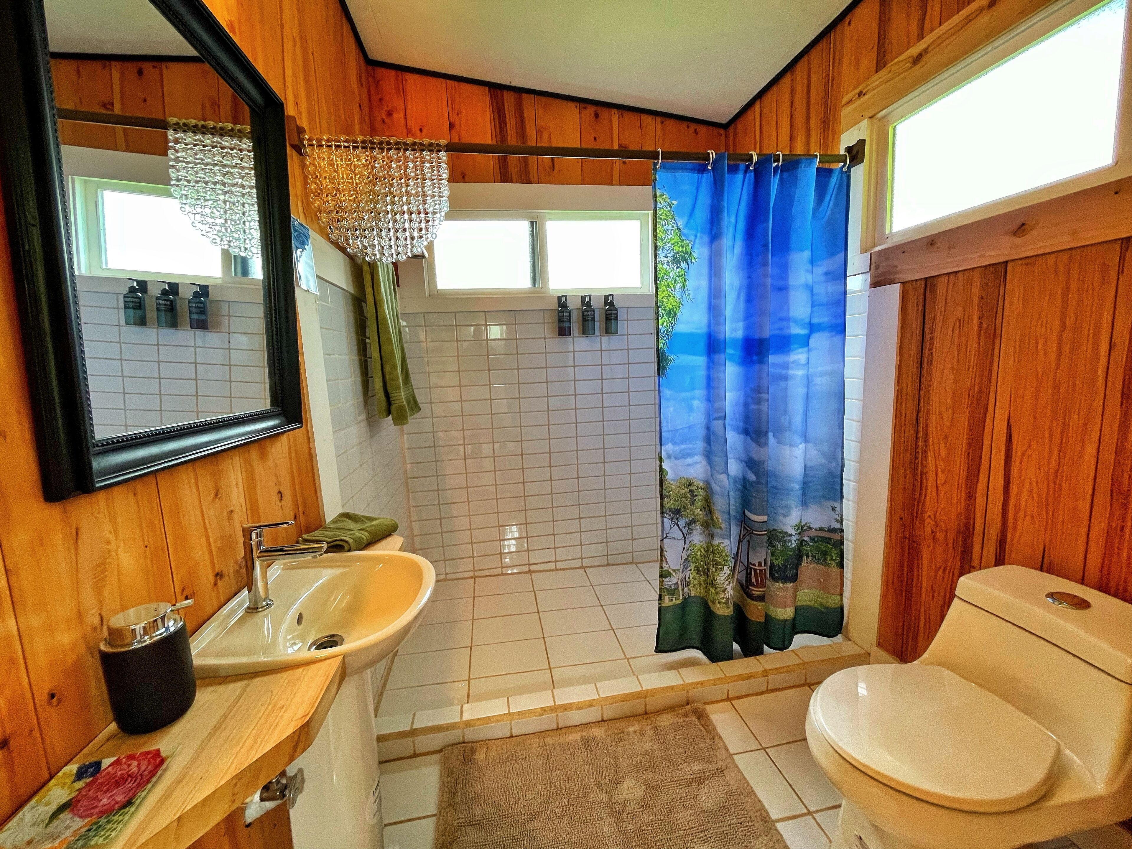Deluxe huisje | Badkamer | Een douche, een haardroger, handdoeken, zeep