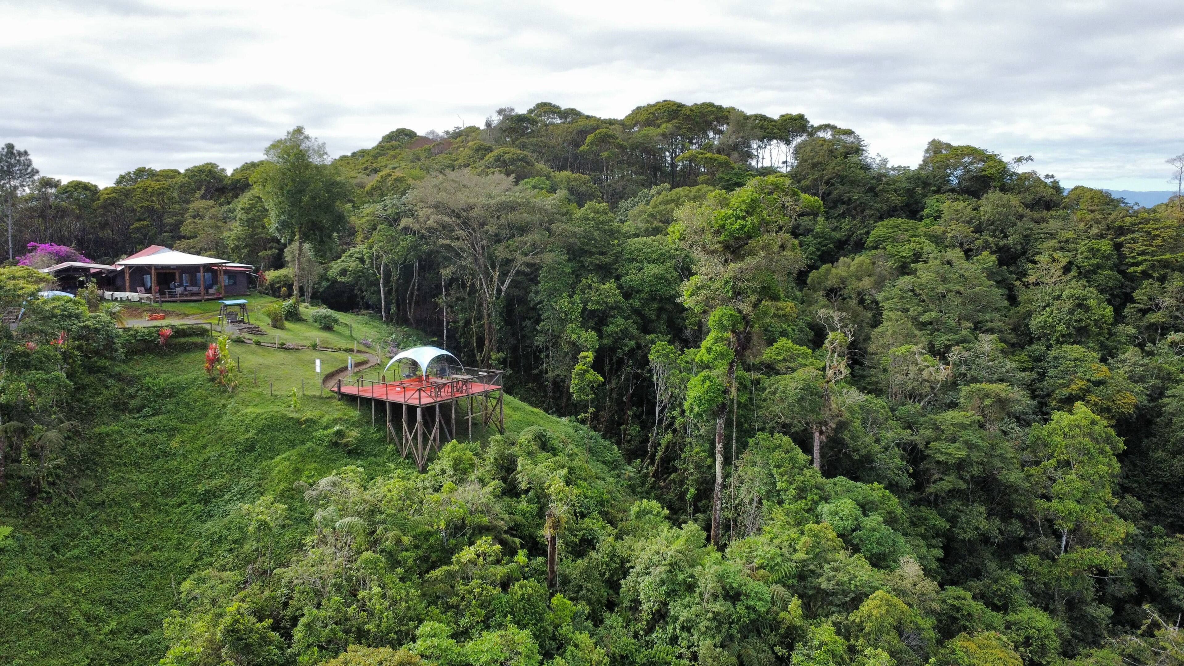 A lush forest with a wooden deck and a gazebo.