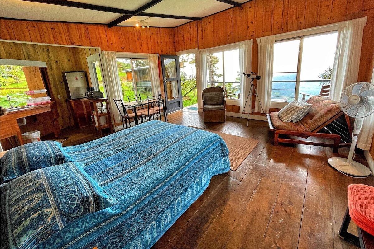 A room with a bed, a desk, a chair, a table, a fan, and a window with a view.