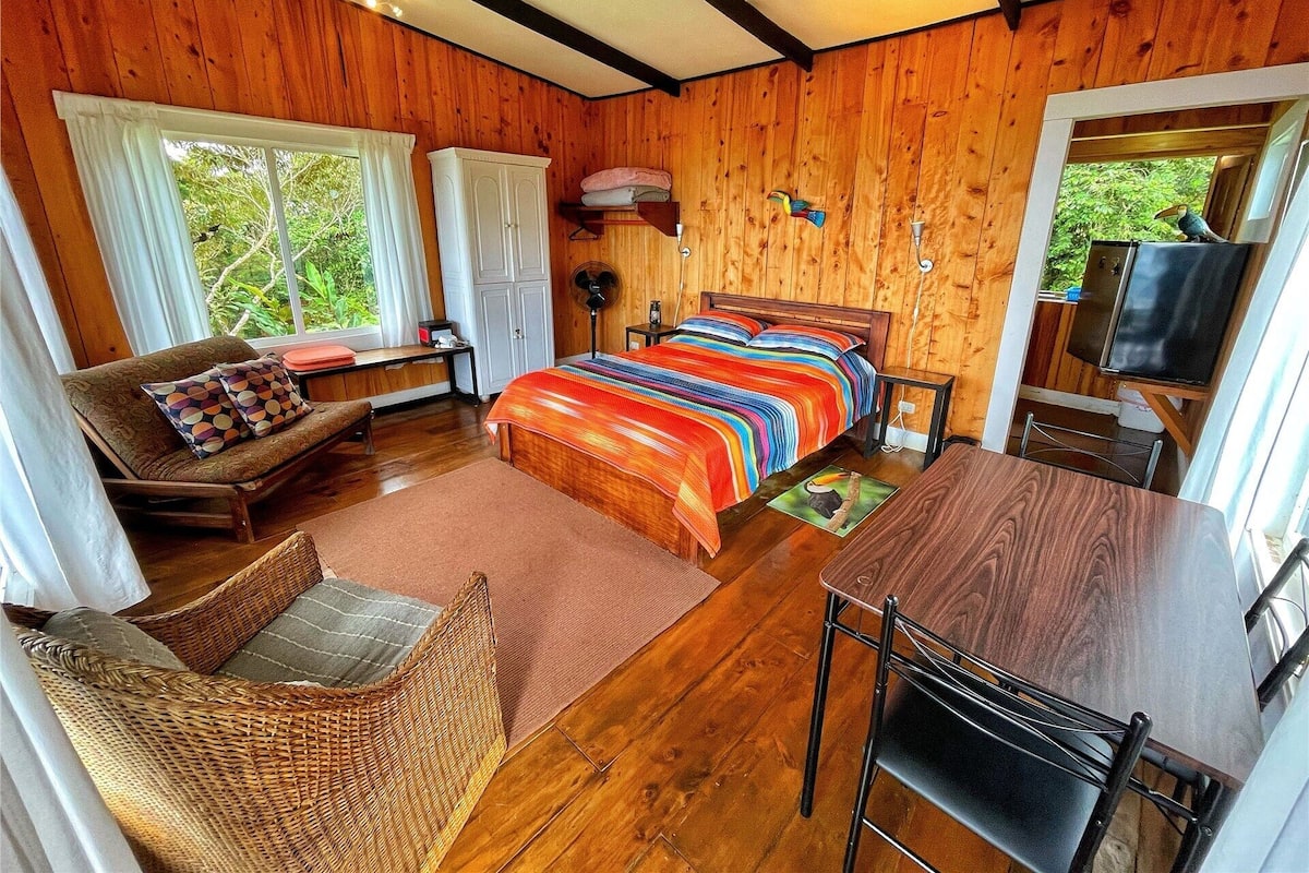 A wooden-paneled room with a bed, a sofa, a dining table, and a television.