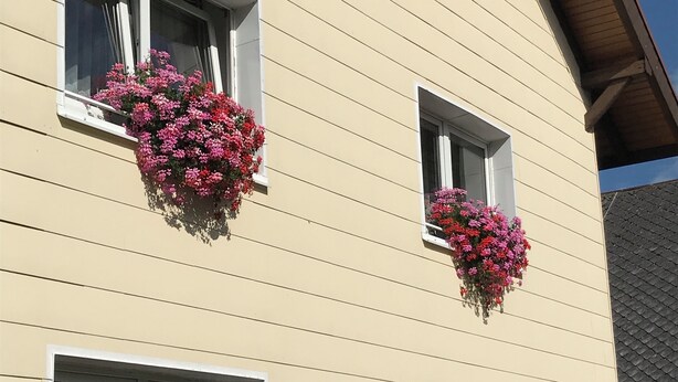 Een gebouw met drie ramen, elk met een bloemenmand.
