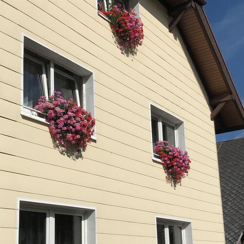 Comfortable apartment in the middle of the southern Black Forest