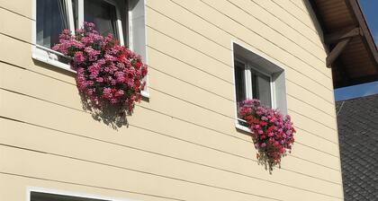 Comfortable apartment in the middle of the southern Black Forest