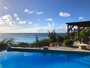 Une piscine avec vue sur l’océan, entourée de plantes et dotée d’une terrasse en bois.