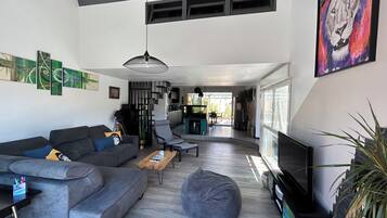 Télévision, cheminée, lecteur de DVD, livres