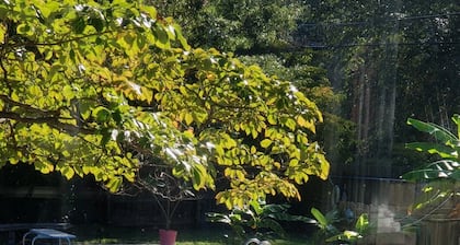 Beautiful 1915 Four Square Home 5 minutes to downtown Petersburg VA