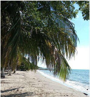 A beach with palm trees and a view of the ocean. - Private Cabin Facing the Sea 🌊 (Santiago de Tolú)