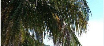 Private Cabin Facing the Sea 🌊